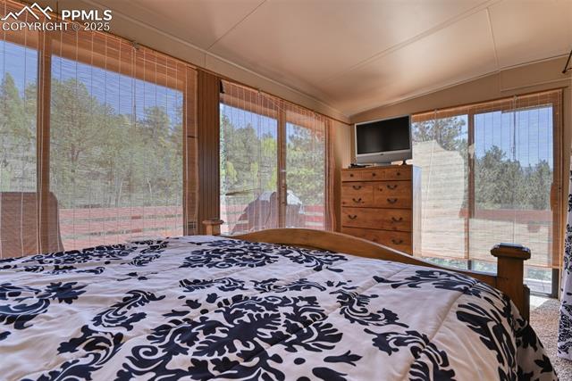 MLS Image for 6  Pike View  ,Divide, Colorado