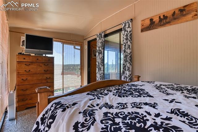 MLS Image for 6  Pike View  ,Divide, Colorado