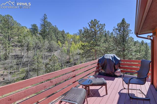 MLS Image for 6  Pike View  ,Divide, Colorado