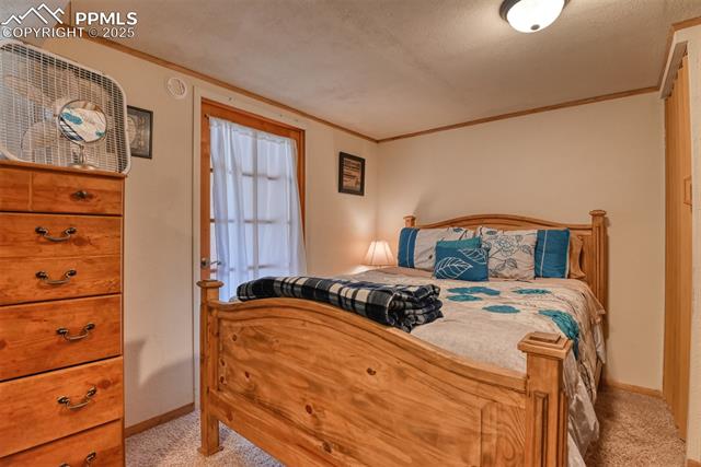 MLS Image for 6  Pike View  ,Divide, Colorado