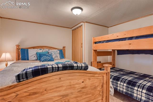MLS Image for 6  Pike View  ,Divide, Colorado