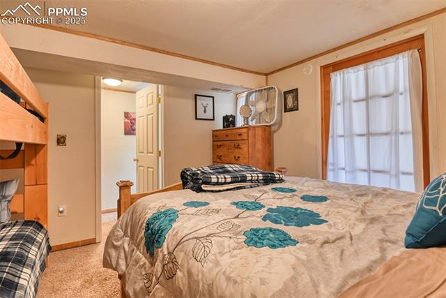 MLS Image for 6  Pike View  ,Divide, Colorado