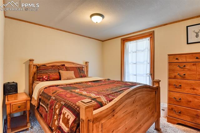MLS Image for 6  Pike View  ,Divide, Colorado