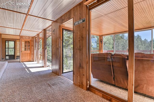 MLS Image for 6  Pike View  ,Divide, Colorado