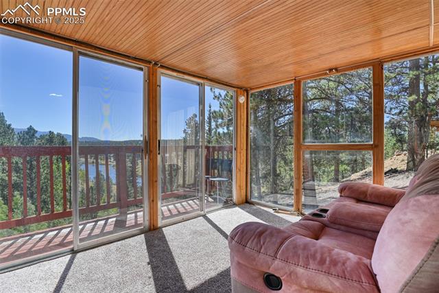 MLS Image for 6  Pike View  ,Divide, Colorado