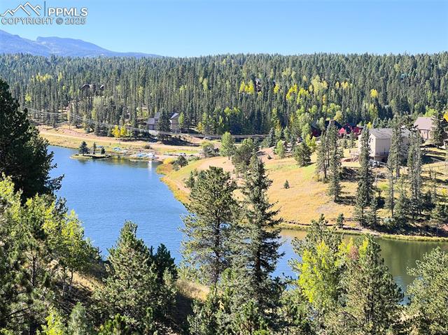 MLS Image for 6  Pike View  ,Divide, Colorado