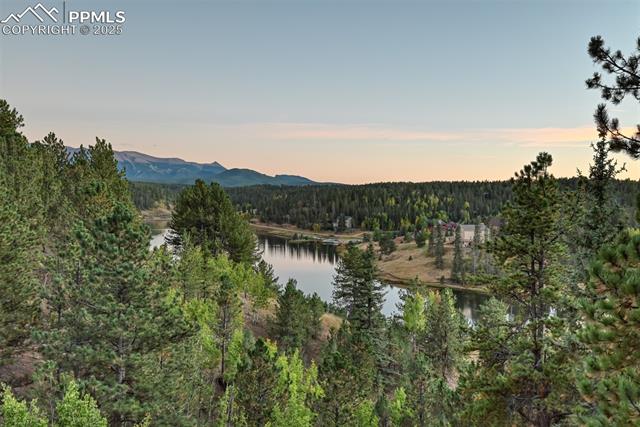 MLS Image for 6  Pike View  ,Divide, Colorado
