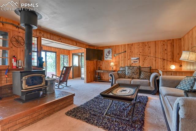 MLS Image for 6  Pike View  ,Divide, Colorado