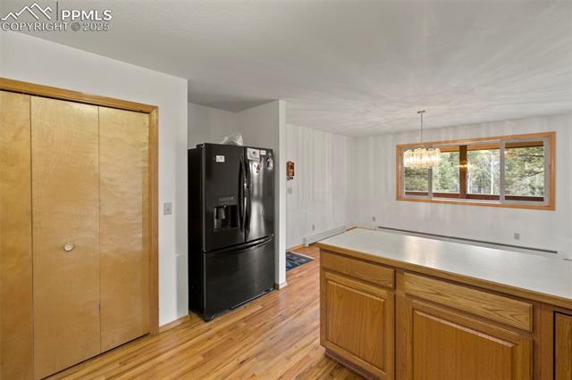 MLS Image for 143  Lost Lake  ,Divide, Colorado