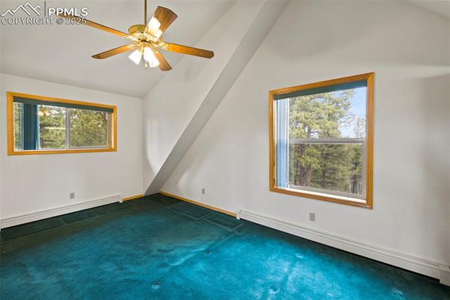 MLS Image for 143  Lost Lake  ,Divide, Colorado