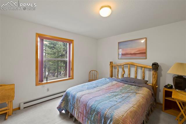 MLS Image for 143  Lost Lake  ,Divide, Colorado