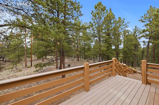 MLS Image for 143  Lost Lake  ,Divide, Colorado