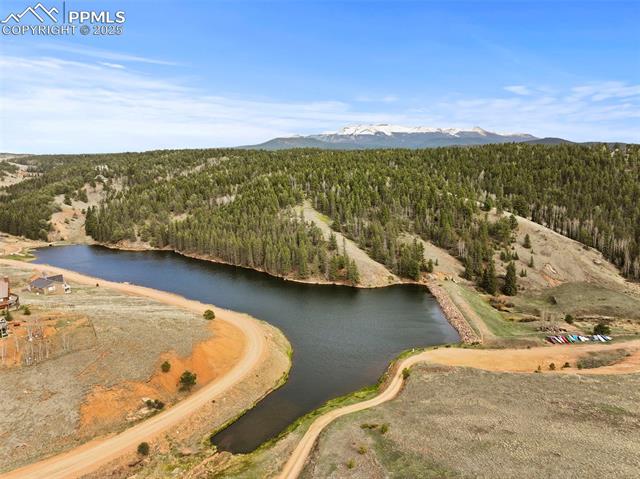 MLS Image for 143  Lost Lake  ,Divide, Colorado