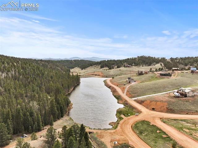 MLS Image for 143  Lost Lake  ,Divide, Colorado
