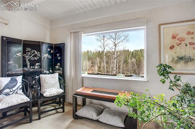 MLS Image for 419  Lake  ,Divide, Colorado