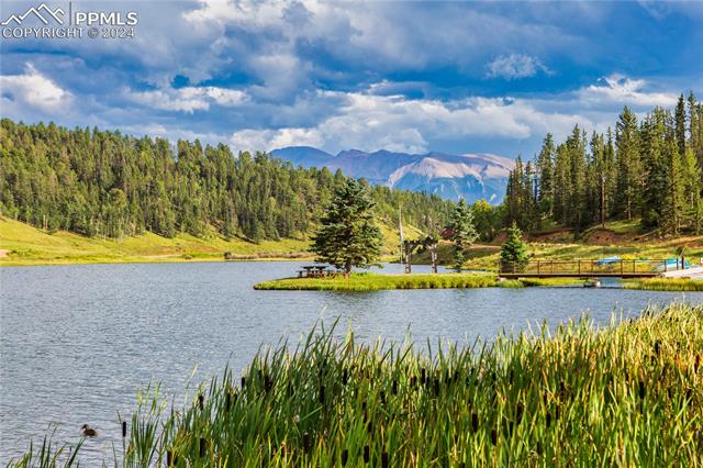 MLS Image for 419  Lake  ,Divide, Colorado