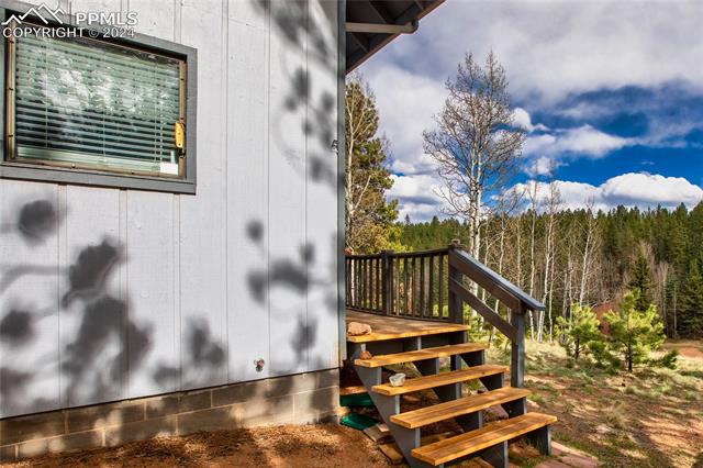 MLS Image for 419  Lake  ,Divide, Colorado