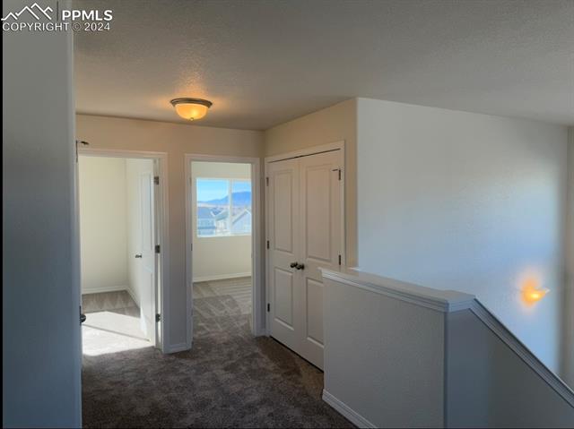 MLS Image for 6029  Williams Run  ,Colorado Springs, Colorado