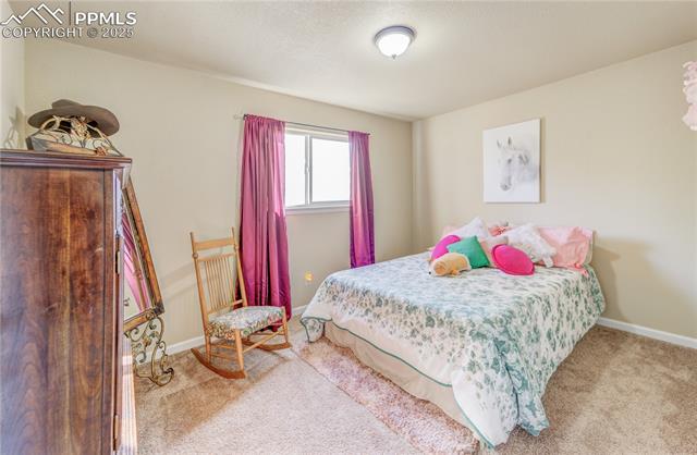 MLS Image for 4230  Blueflax  ,Pueblo, Colorado