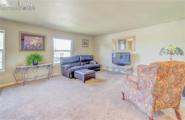 MLS Image for 4230  Blueflax  ,Pueblo, Colorado