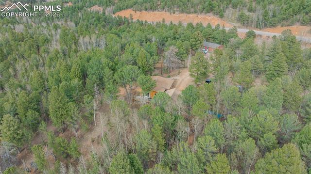 MLS Image for 847  Timber Ridge  ,Divide, Colorado