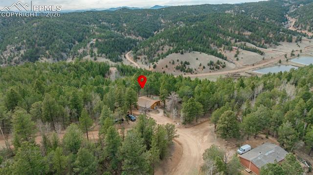 MLS Image for 847  Timber Ridge  ,Divide, Colorado