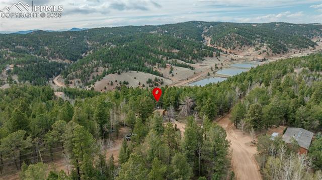 MLS Image for 847  Timber Ridge  ,Divide, Colorado