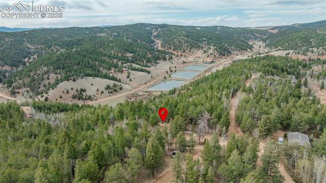 MLS Image for 847  Timber Ridge  ,Divide, Colorado
