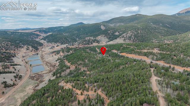 MLS Image for 847  Timber Ridge  ,Divide, Colorado