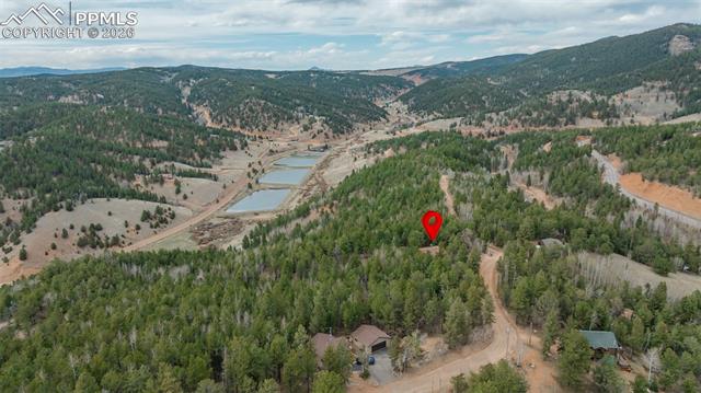 MLS Image for 847  Timber Ridge  ,Divide, Colorado