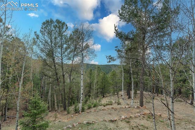 MLS Image for 847  Timber Ridge  ,Divide, Colorado