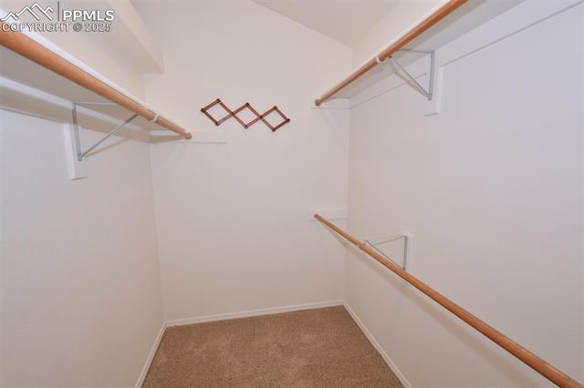 MLS Image for 1135  Mount Estes  ,Colorado Springs, Colorado