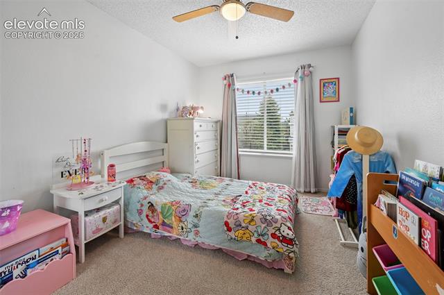 MLS Image for 7834  Potomac  ,Colorado Springs, Colorado