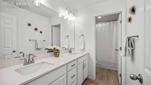 MLS Image for 5769  Zounds  ,Colorado Springs, Colorado