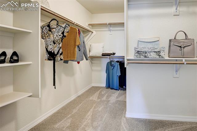 MLS Image for 5206  Truscott  ,Colorado Springs, Colorado