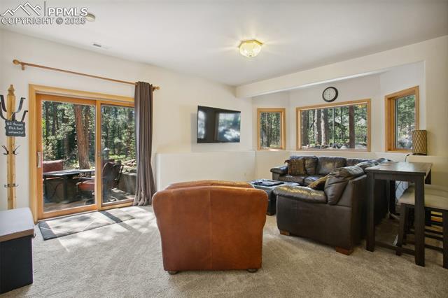 MLS Image for 20190  Deer Shadow  ,Monument, Colorado