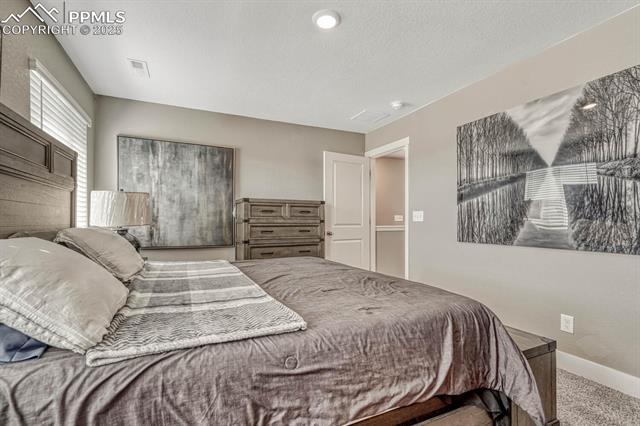 MLS Image for 10573  Castor  ,Colorado Springs, Colorado