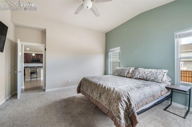 MLS Image for 7296  Alpine Daisy  ,Colorado Springs, Colorado