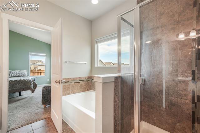 MLS Image for 7296  Alpine Daisy  ,Colorado Springs, Colorado