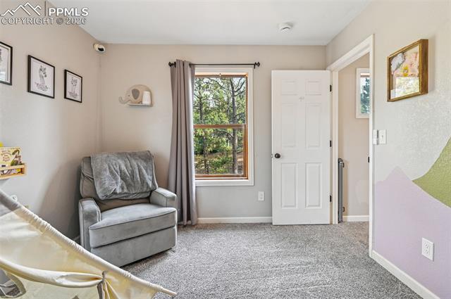 MLS Image for 31  Wallace  ,Florissant, Colorado