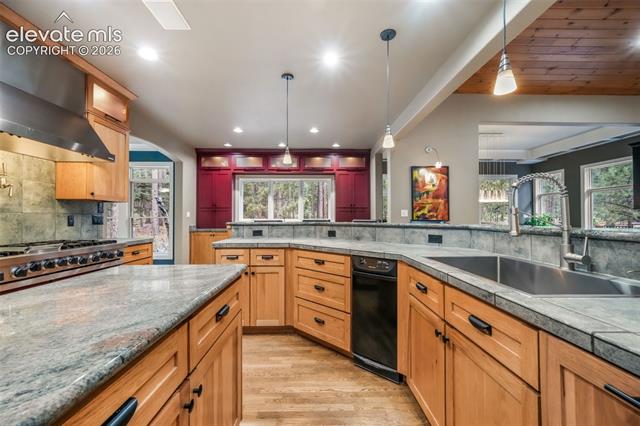 MLS Image for 20088  Wissler Ranch  ,Colorado Springs, Colorado