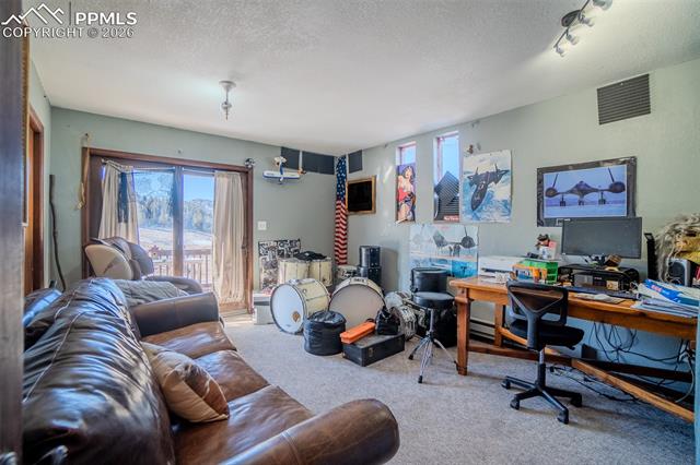 MLS Image for 595  High Pasture  ,Florissant, Colorado