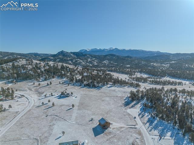 MLS Image for 595  High Pasture  ,Florissant, Colorado
