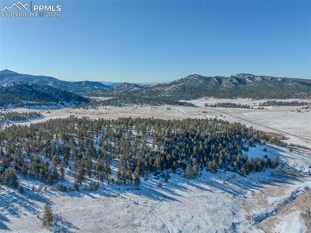 MLS Image for 595  High Pasture  ,Florissant, Colorado