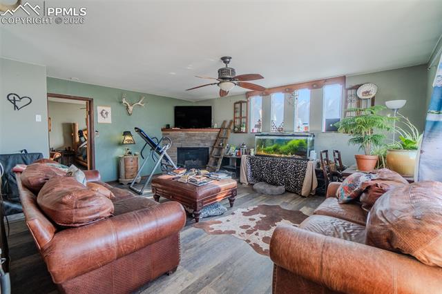 MLS Image for 595  High Pasture  ,Florissant, Colorado