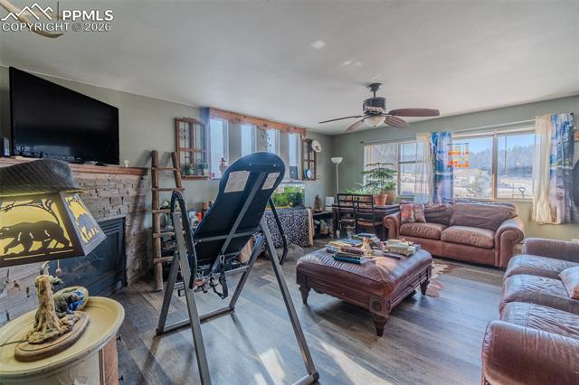 MLS Image for 595  High Pasture  ,Florissant, Colorado