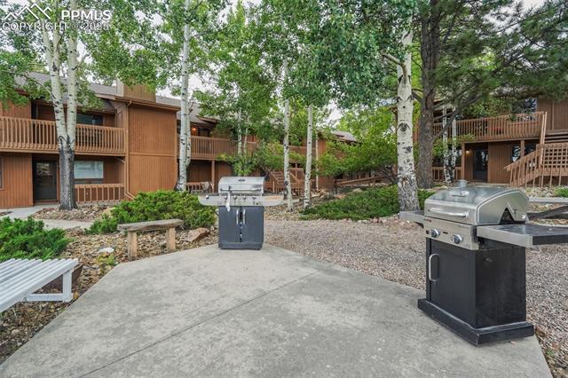 MLS Image for 401  Forest Edge  B-11 ,Woodland Park, Colorado