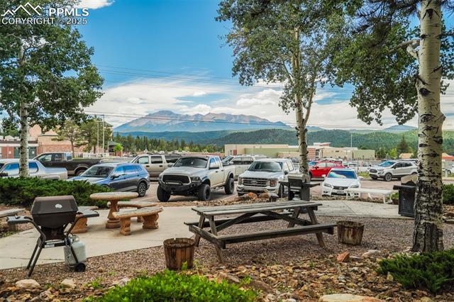 MLS Image for 401  Forest Edge  B-11 ,Woodland Park, Colorado