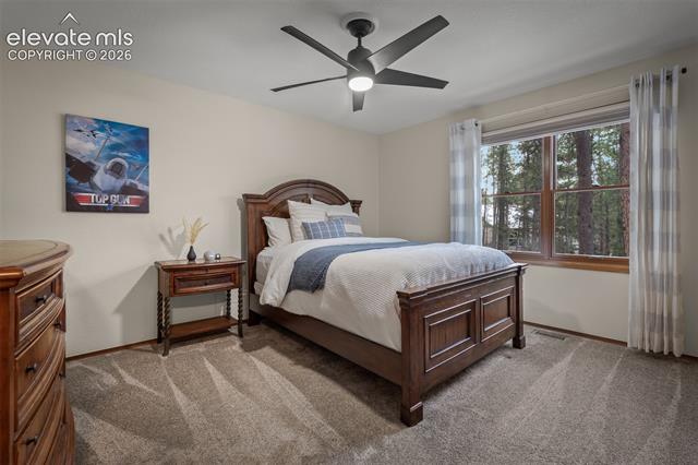 MLS Image for 20070  Lofty Pine  ,Monument, Colorado
