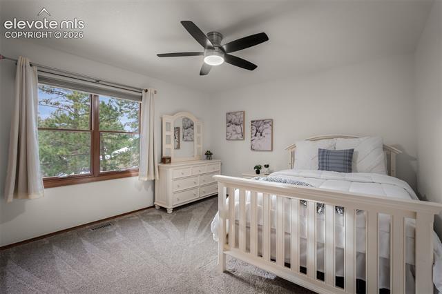 MLS Image for 20070  Lofty Pine  ,Monument, Colorado